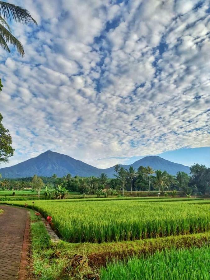 Ijen Mansjestic B&B Tamansuruh Экстерьер фото